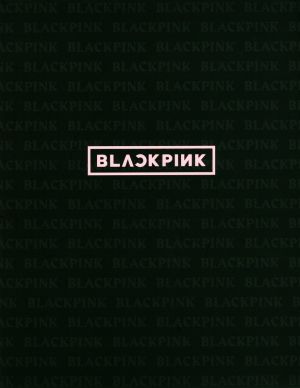 BLACKPINK BLACKPINK公式PHOTO BOOK 中古本・書籍 | ブックオフ公式オンラインストア