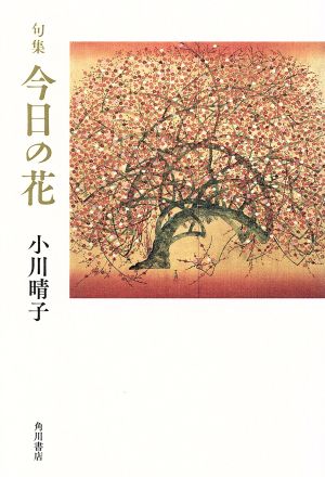 句集 今日の花 角川俳句叢書 日本の俳人100