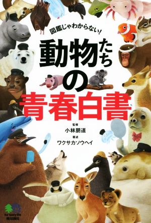 動物たちの青春白書 図鑑じゃわからない！