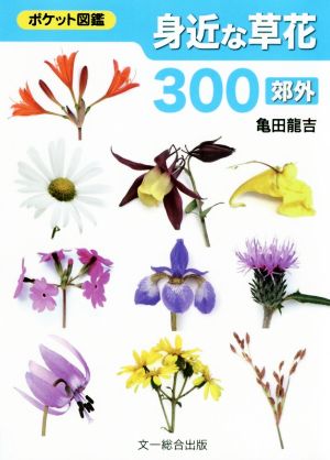 身近な草花300 郊外 ポケット図鑑