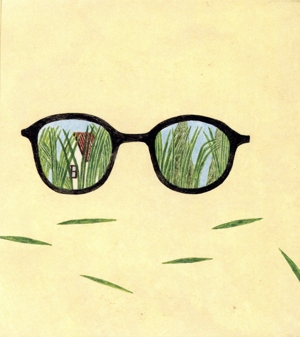 日々