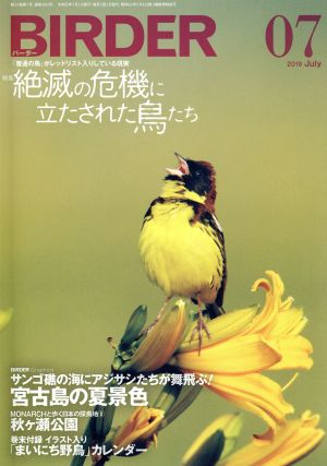 BIRDER(2019年7月号) 月刊誌