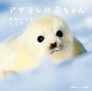 アザラシの赤ちゃんかわいいのヒミツ