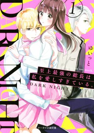 至上最強の総長は私を愛しすぎている。(1) DARK NIGHT ケータイ小説文庫