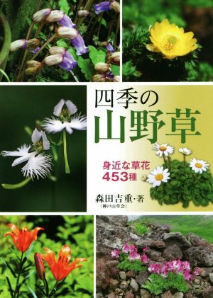 四季の山野草 身近な草花453種