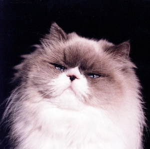 燦々(初回限定盤)(DVD付)