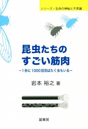 昆虫たちのすごい筋肉 1秒に1000回羽ばたく虫もいる シリーズ・生命の神秘と不思議