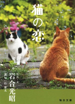 猫の恋 毎日文庫