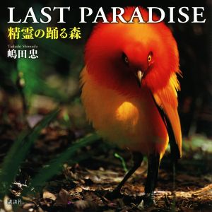 LAST PARADISE 精霊の踊る森