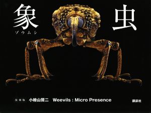 象虫 復刻版 Weevils:Micro Presence