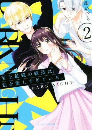 至上最強の総長は私を愛しすぎている。(2) DARK NIGHT ケータイ小説文庫