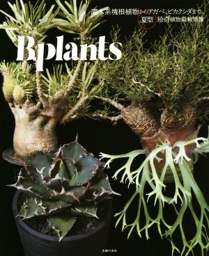 ビザールプランツ灌木系塊根植物からアガベ、ビカクシダまで、夏型珍奇植物最新情報