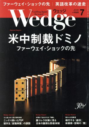 Wedge(7 2019 JULY Vol.31 No.7) 月刊誌