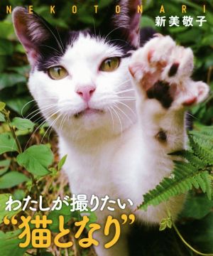 わたしが撮りたい“猫となり