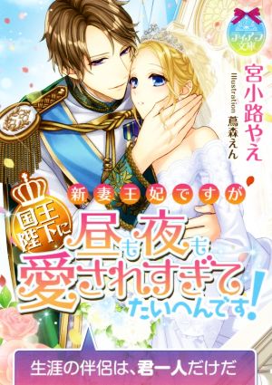 新妻王妃ですが国王陛下に昼も夜も愛されすぎてたいへんです！ティアラ文庫