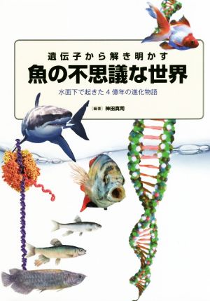 遺伝子から解き明かす 魚の不思議な世界 水面下で起きた4億年の進化物語