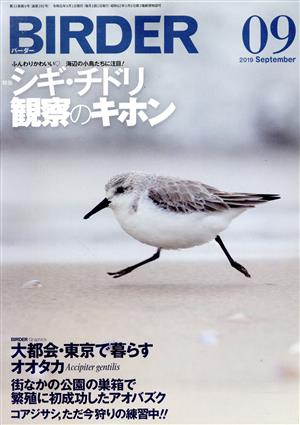 BIRDER(2019年9月号) 月刊誌