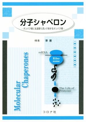 分子シャペロン タンパク質に生涯寄り添い介助するタンパク質