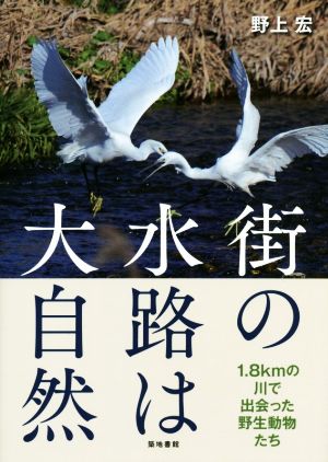 街の水路は大自然 1.8kmの川で出会った野生動物たち