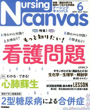 Nursing Canvas(6 2019 Vol.7 No.6) 月刊誌