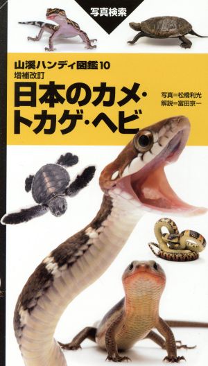 日本のカメ・トカゲ・ヘビ 増補改訂山渓ハンディ図鑑10