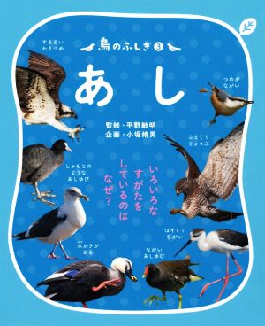 あし 鳥のふしぎ いろいろなすがたをしているのは なぜ？