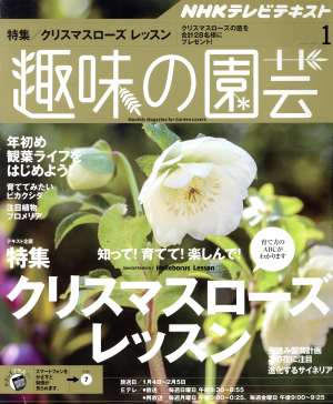 NHKテキスト 趣味の園芸(1 2016) 月刊誌