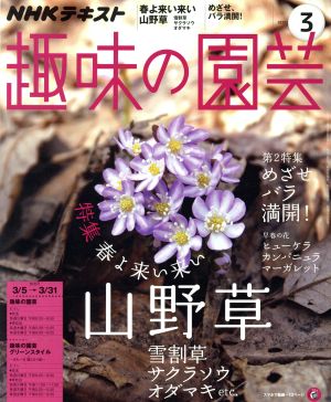 NHKテキスト 趣味の園芸(3 2017)月刊誌
