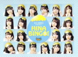 全力！日向坂46バラエティー HINABINGO！ DVD-BOX