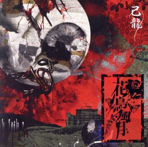 花鳥風月(初回限定盤:B)(DVD付)