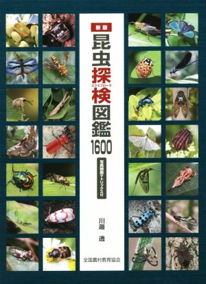 昆虫探検図鑑1600 新版 写真検索マトリックス付