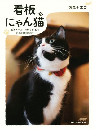 看板にゃん猫 猫たちがこっそり教えてくれた14の奇跡の出会い