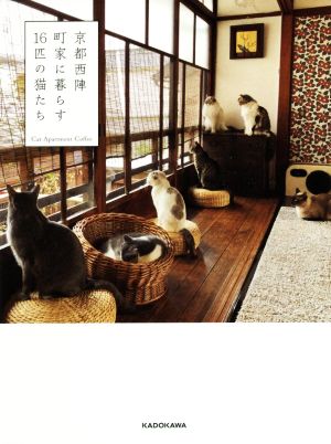 京都西陣町家に暮らす16匹の猫たち