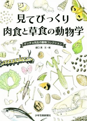 見てびっくり肉食と草食の動物学 ゲッチョ先生の動物コレクション