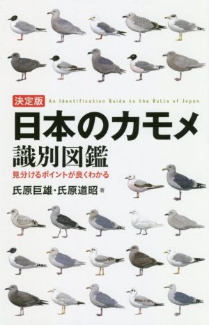 日本のカモメ識別図鑑 決定版 見分けるポイントが良くわかる