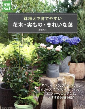 花木・実もの・きれいな葉 鉢植えで育てやすい 実用No.1