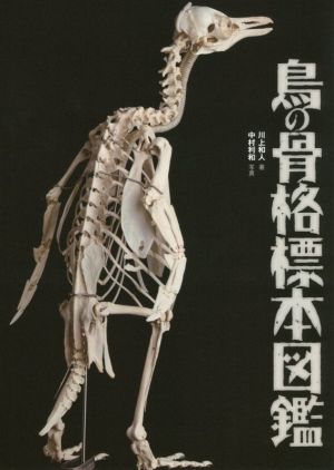 鳥の骨格標本図鑑 BIRDER SPECIAL