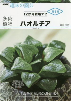 趣味の園芸 多肉植物ハオルチア 90種類以上のハオルチアを紹介。美しく育てるコツを徹底解説。 NHK趣味の園芸 12か月栽培ナビNEO