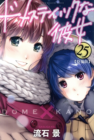 ドメスティックな彼女(特装版)(25) 講談社キャラクターズライツ