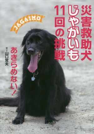 災害救助犬じゃがいも11回の挑戦 あきらめない！