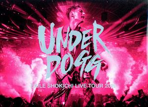 EXILE SHOKICHI LIVE TOUR 2019 UNDERDOGG(初回生産限定版)(Blu-ray Disc)