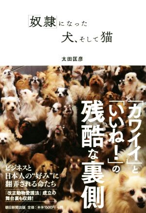 「奴隷」になった犬、そして猫