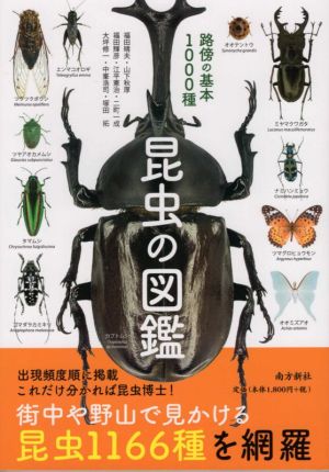 昆虫の図鑑 路傍の基本1000種