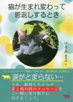 猫が生まれ変わって恩返しするとき