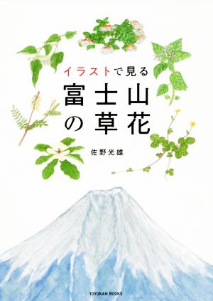 イラストで見る富士山の草花