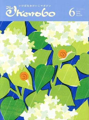 The Ikenobo(ざ・いけのぼう)(6 June 2018 No.570) 月刊誌