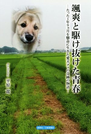 颯爽と駆け抜けた青春 たった1年9ヶ月を懸命に生きた愛犬グゥの奇跡の物語