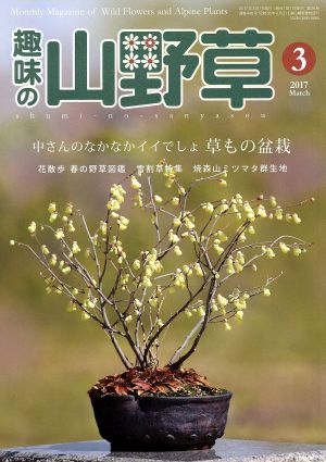 趣味の山野草(3 2017 March)月刊誌