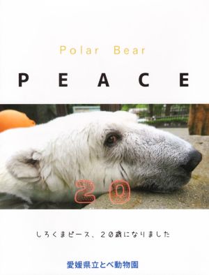 Polar Bear PEACE 20 しろくまピース、20歳になりました