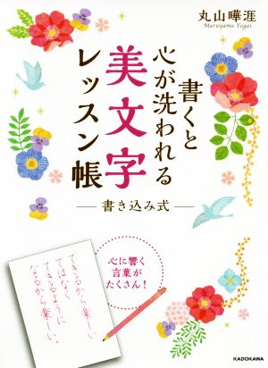 書くと心が洗われる美文字レッスン帳 書き込み式